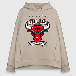 Женское худи оверсайз Chicago Bulls est. 1966