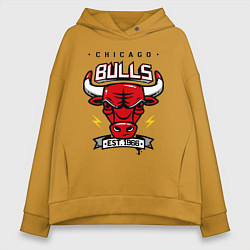 Женское худи оверсайз Chicago Bulls est. 1966