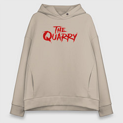 Женское худи оверсайз The Quarry logo