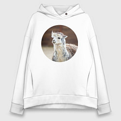 Женское худи оверсайз Альпака