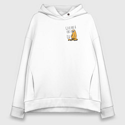 Женское худи оверсайз Ленивиц за ноутом