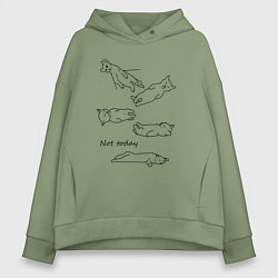 Женское худи оверсайз Not today спящие коты