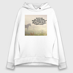 Женское худи оверсайз Профессионал мем