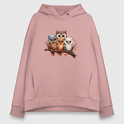 Женское худи оверсайз Четыре совы на ветке