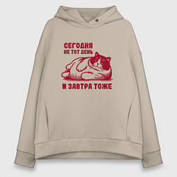 Женское худи оверсайз Недовольный толстый котик сегодня не тот день