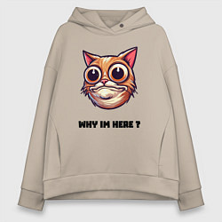 Женское худи оверсайз Зачем я здесь