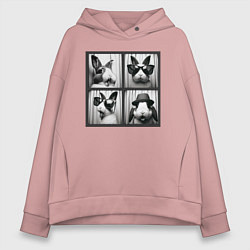 Женское худи оверсайз Кролик в фотобудке