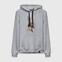 Женская толстовка-худи Лошади