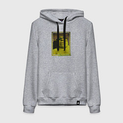 Толстовка-худи хлопковая женская Шрек в очках, цвет: меланж