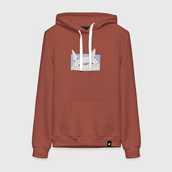 Толстовка-худи хлопковая женская Удивленный Тоторо, цвет: кирпичный