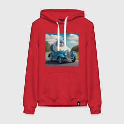 Женская толстовка-худи Толстый голубой котик винтажный стиль