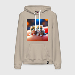 Женская толстовка-худи Два милых пушистых котика сидят на ладони