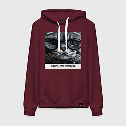 Женская толстовка-худи Мем кот в очках: шерсть это приправа