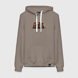 Женская толстовка-худи Мультяшные бобры