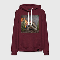 Женская толстовка-худи Ёжик в огне