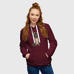 Толстовка-худи хлопковая женская Енот арт, цвет: меланж-бордовый — фото 2