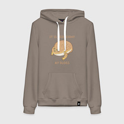 Женская толстовка-худи Жаба из мема среда мои чуваки