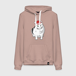 Женская толстовка-худи Мемный кот Бендер - 2026