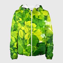 Куртка с капюшоном женская Зелёные листья, цвет: 3D-белый