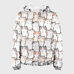 Женская куртка Кошки котики коты