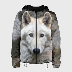 Куртка с капюшоном женская Волк, цвет: 3D-черный