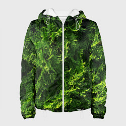 Женская куртка Хвойная масса