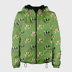 Женская куртка Живописные коровы на лугу паттерн