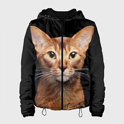 Женская куртка Молодая абиссинская кошечка