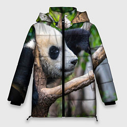 Куртка зимняя женская Бамбуковый медведь, цвет: 3D-красный