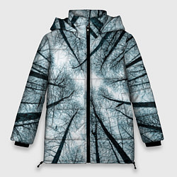Женская зимняя куртка Деревья вид снизу мрачный