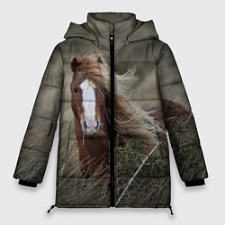 Куртка зимняя женская Конь, цвет: 3D-черный