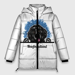 Куртка зимняя женская Ньюфаундленд Newfoundland, цвет: 3D-черный