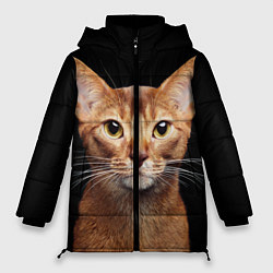 Куртка зимняя женская Молодая абиссинская кошечка, цвет: 3D-черный