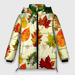 Женская зимняя куртка Осень