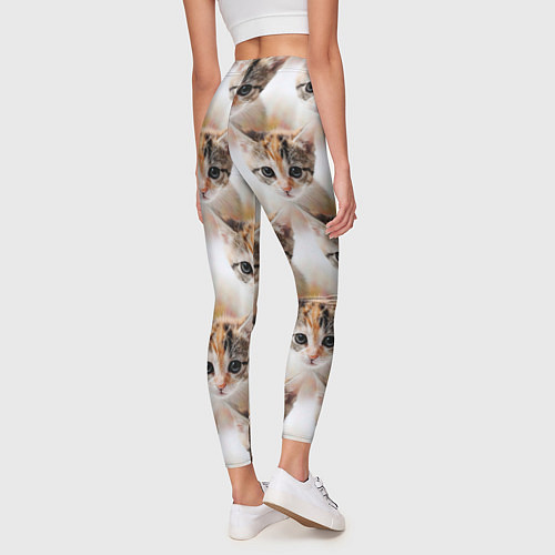 Женские легинсы Маленький котенок паттерн / 3D-принт – фото 4