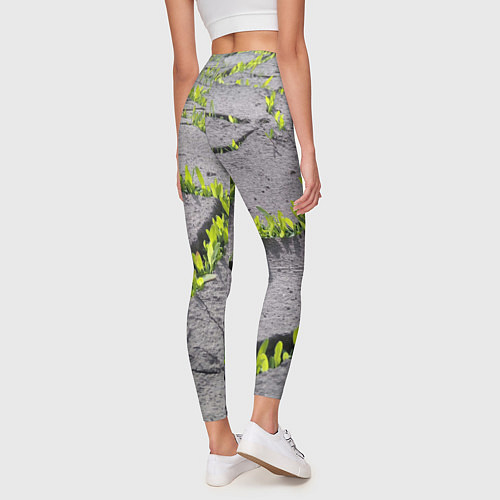 Женские легинсы Never give up - никогда не сдавайся прорасти сквоз / 3D-принт – фото 4