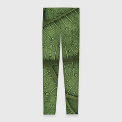 Леггинсы женские Текстура зелёной листы, цвет: 3D-принт