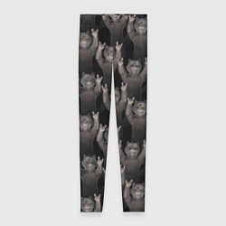 Женские легинсы Коты любят рок-музыку