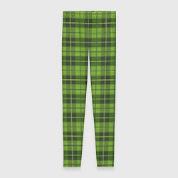 Женские легинсы Зеленый тартан