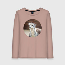 Женский лонгслив Альпака