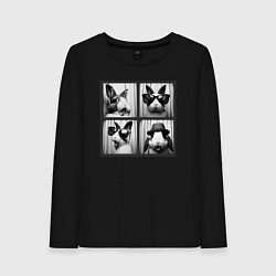 Женский лонгслив Кролик в фотобудке