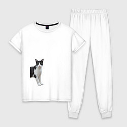 Пижама хлопковая женская Смотрящая кошка, цвет: белый