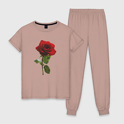 Пижама хлопковая женская Красивая красная роза, цвет: пыльно-розовый
