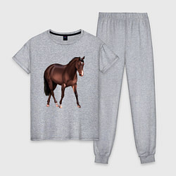 Пижама хлопковая женская Австралийская пастушья лошадь, цвет: меланж