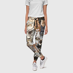 Брюки женские Котики смешные, цвет: 3D-принт — фото 2