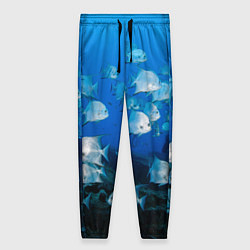 Женские брюки Рыбы