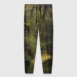 Женские брюки Лесная глушь