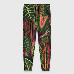 Женские брюки Красные Тропики
