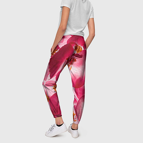 Женские брюки Цветы бегония текстура / 3D-принт – фото 4