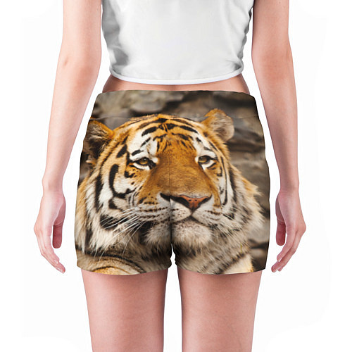 Женские шорты Мудрый тигр / 3D-принт – фото 4